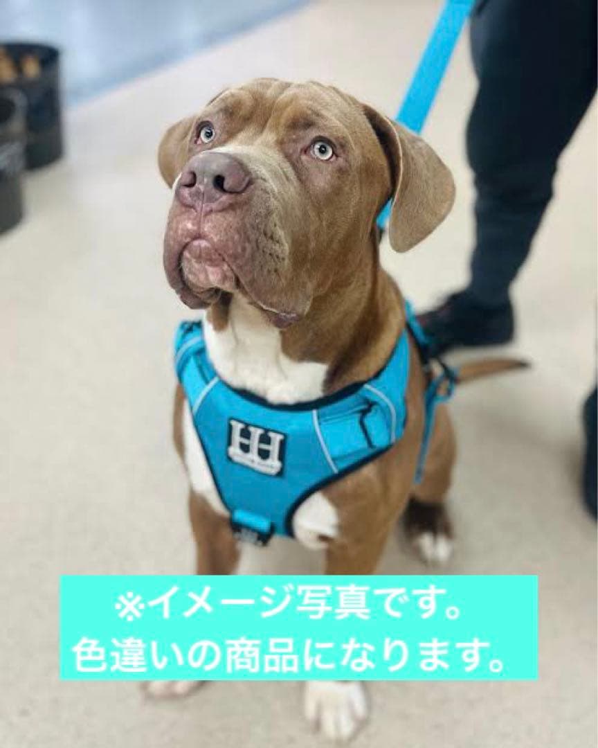 大型犬 英国高級 ハーネス リード カーラー(首輪) お散歩バック リボン