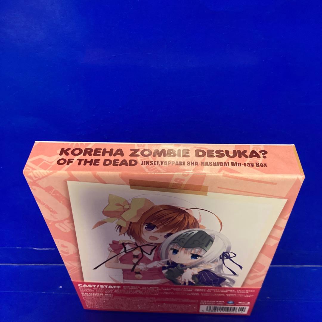 これはゾンビですか?オブ・ザ・デッド 人生、やっぱりしゃーなしだ!Blu-ray