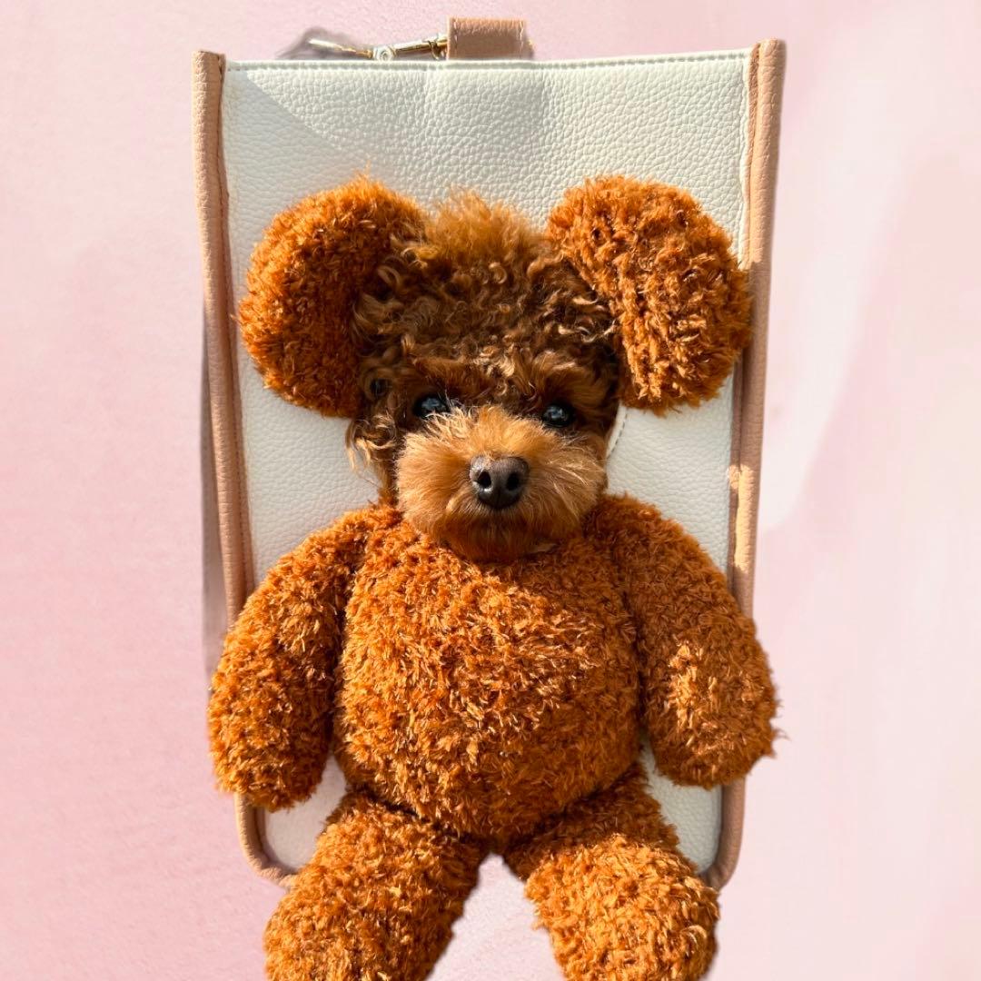 大人気！顔出しぬいぐるみ　ペットキャリーバッグ　ベージュ