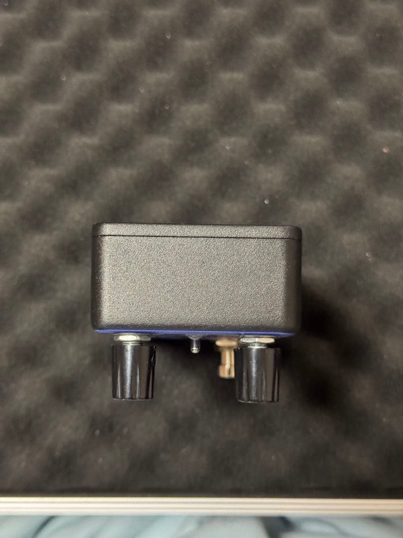 ギター Animals Pedal Custom Illustrated CCV