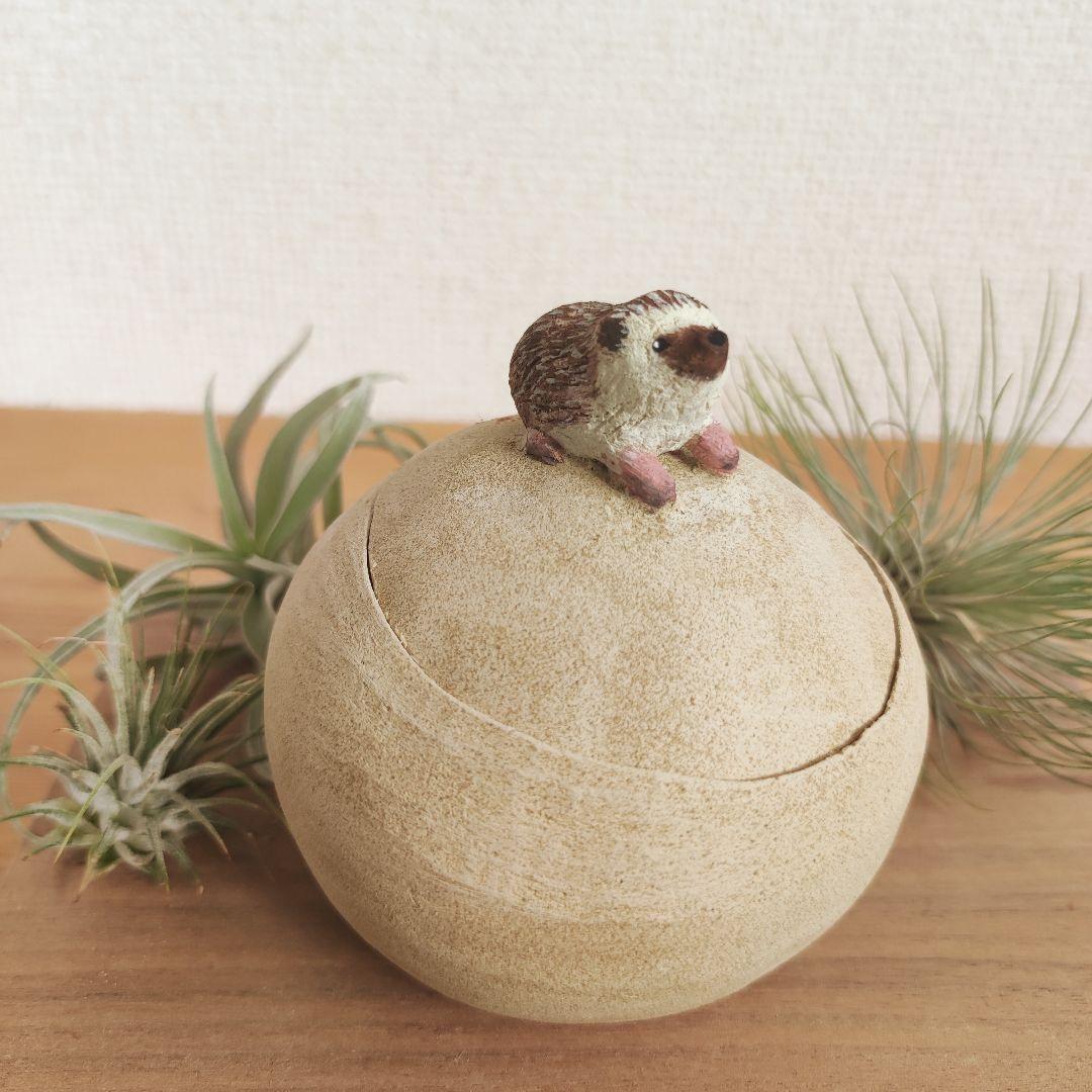 ハリネズミの一休み　Mサイズ